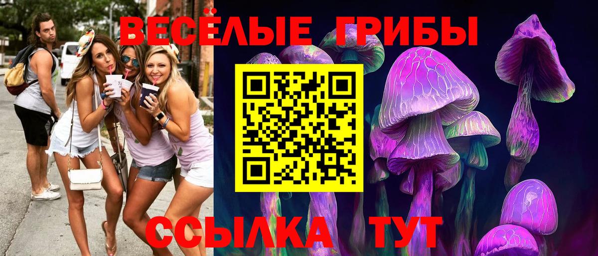 Галлюциногенные грибы мухоморы  Вход с VPN  Галлюциногенные грибы GOLDEN TEACHER  Муром 