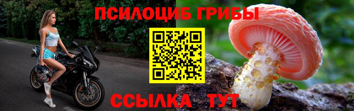 Псилоцибиновые грибы GOLDEN TEACHER Муром